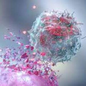   Tipos de Cáncer