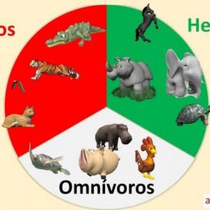 Relacionemos unos con otros.
