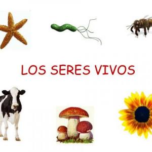 LOS SERES VIVOS
