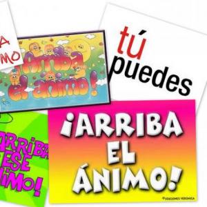 Paginas web