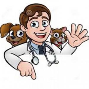LA VETERINARIA