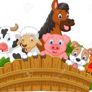 Animales domesticos