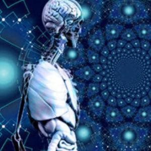 TECNOLOGÍA,CIENCIA, SOCIEDAD Y VALORES