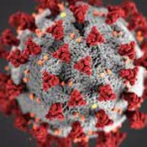 Imagen de portada del videojuego educativo: vacunas de covid-19, de la temática Biología
