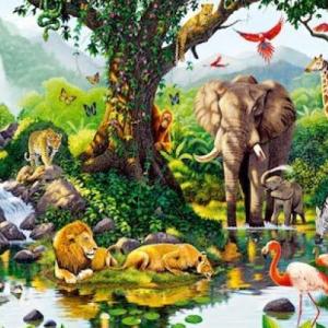 Taxonomía y Sistemática