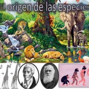 Teorías de la evolución y sus autores