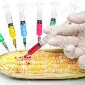 Imagen de portada del videojuego educativo: Alimentos transgénicos y sus consecuencias, de la temática Ciencias