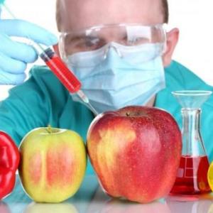 Alimentos transgénicos