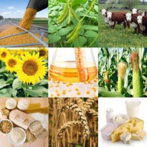 ENTORNO AGROINDUSTRIAL