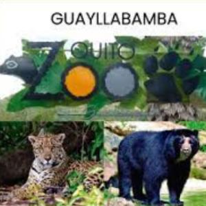 Mis amigos del zoológico
