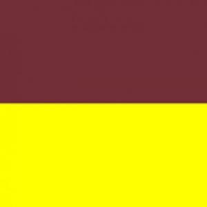 vamos para el tolima mijo