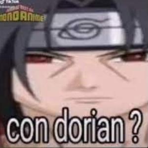 Celulares Y Sus Referencias