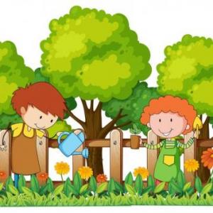 CLASIFICO PLANTAS