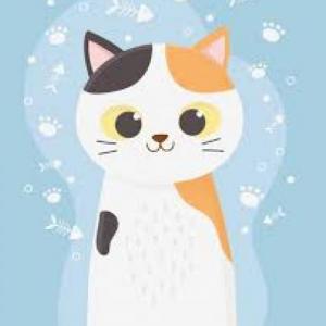 Manchas, el gato travieso