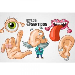 LOS CINCO SENTIDOS