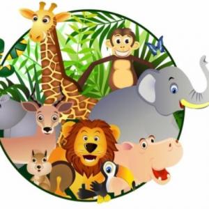 Memotets de animales