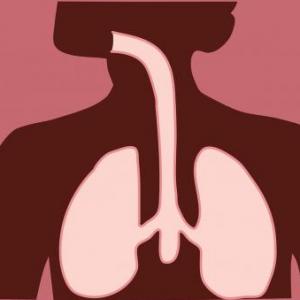 Imagen de portada del videojuego educativo: Estructuras del sistema respiratorio, de la temática Salud
