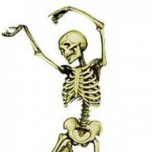 Imagen de portada del videojuego educativo: Conociendo el esqueleto humano, de la temática Salud