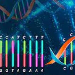 Imagen de portada del videojuego educativo: Recombinación genética y mutaciones, de la temática Biología