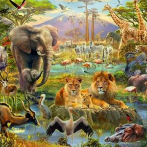 LA ZOOLOGIA