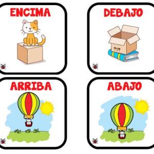 NOCIONES BASICAS