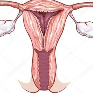 DETECCIÓN TEMPRANA CÁNCER DE CUELLO UTERINO