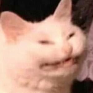 xd
