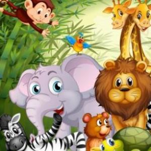 MEMOTES DE ANIMALES