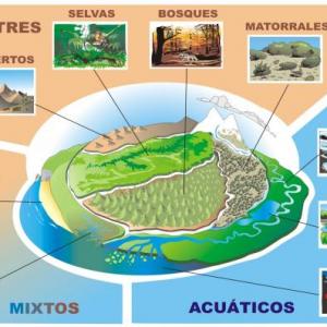 Ecosistemas