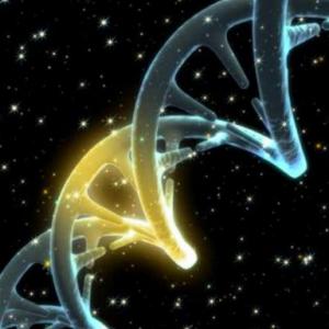 Trivias del ADN y ARN