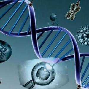 BIOQUIMICA