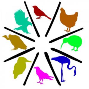 El Trivial de las aves