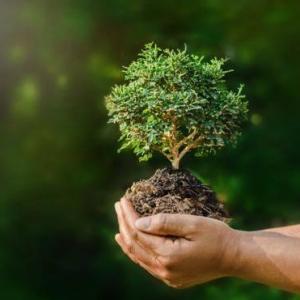 Ecología