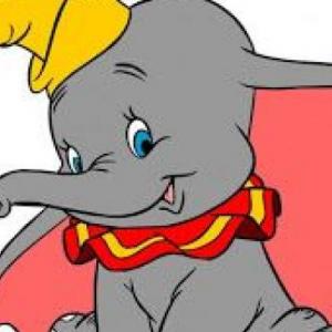 Dumbo