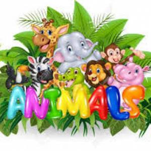 What animal is it?