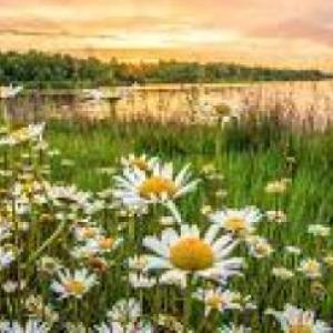 BENEFICIOS DE LA NATURALEZA