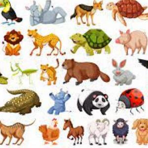 Encuentra en nombre de los animales