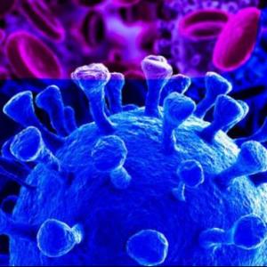 Pandemia Covid 19