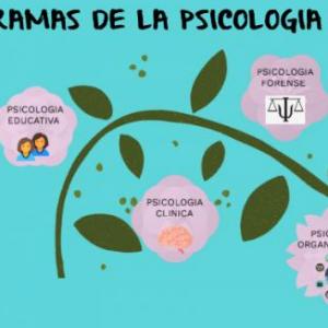 Imagen de portada del videojuego educativo: RAMAS DE LA PSICOLOGIA, de la temática Salud