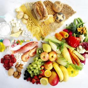 el plato de buen comer 