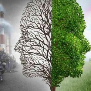 "La contaminación del aire y los gases contaminantes"