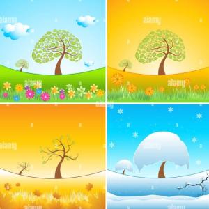 weather game