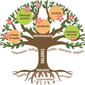Los valores