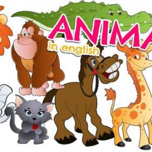 Animales en inglés