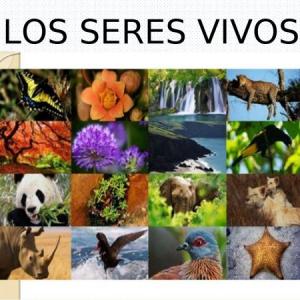 LOS SERES VIVOS DE 3ERO