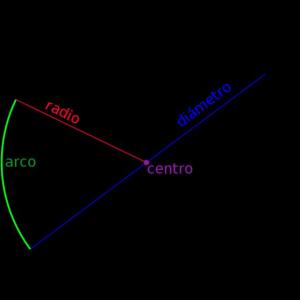 Partes de la circunferencia