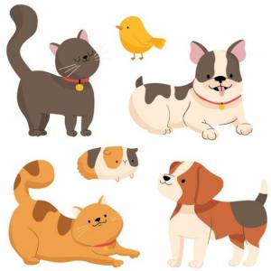 Animales Domésticos