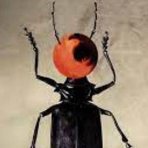Metamorfosis