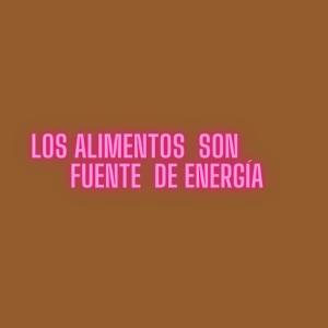 Los alimentos nuestro combustible  