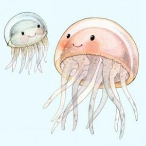 Imagen de portada del videojuego educativo: Memotest de Medusas, de la temática Biología